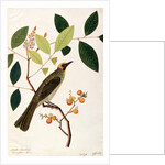 Mata Cooching by School Chinese