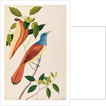 Boorong Seli-ah by School Chinese