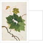 House Mouse by School Chinese