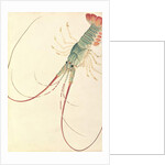 Oodang Katik la-ote by School Chinese