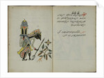 Wukon Jawa, MS 41 p.34, image 17, 1830 by Malay Malay