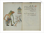 Wukon Jawa, MS 41 p.38, image 19, 1830 by Malay Malay
