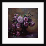 Roses of Sweet Scent and Velvet Touch by Albert Williams