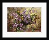 Enchanting Junetide Wisteria by Albert Williams