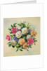 Homage to Her Majesty The Queen Mother by Albert Williams