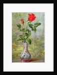 The Crimson Rose, a Messenger of Love by Albert Williams
