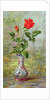 The Crimson Rose, a Messenger of Love by Albert Williams