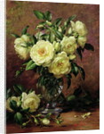 White Roses, A Gift from the Heart by Albert Williams
