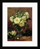 White Roses, A Gift from the Heart by Albert Williams