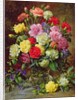 Carnations of Radiant Colours by Albert Williams