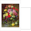 Carnations of Radiant Colours by Albert Williams