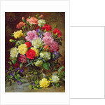 Carnations of Radiant Colours by Albert Williams