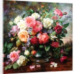 Roses - The Perfection of Summer by Albert Williams