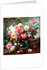 Roses - The Perfection of Summer by Albert Williams