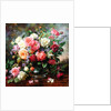 Roses - The Perfection of Summer by Albert Williams