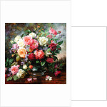 Roses - The Perfection of Summer by Albert Williams