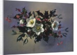 AB/89 Christmas roses by Albert Williams
