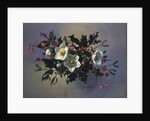 AB/89 Christmas roses by Albert Williams