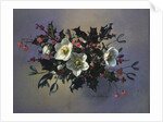 AB/89 Christmas roses by Albert Williams