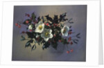 AB/89 Christmas roses by Albert Williams