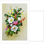 Spray of Dogrose, Holly, Mistletoe and Larkspur by Albert Williams