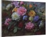 AB/18 Peonies and Hydrangea by Albert Williams