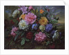 AB/18 Peonies and Hydrangea by Albert Williams