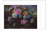 AB/18 Peonies and Hydrangea by Albert Williams