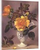 Orange Roses in a blue and white jug by Albert Williams