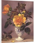 Orange Roses in a blue and white jug by Albert Williams