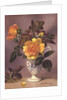 Orange Roses in a blue and white jug by Albert Williams