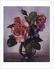 AB/289 Lady Sylvia Roses in a Silver Vase by Albert Williams