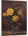 AB/303 Radiant Yellow Roses by Albert Williams