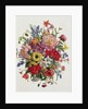 AP/264 A Fragrant June Bouquet by Albert Williams