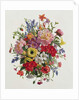 AP/264 A Fragrant June Bouquet by Albert Williams