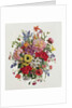AP/264 A Fragrant June Bouquet by Albert Williams