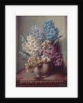 AB/313 Hyacinths in a Pottery Vase by Albert Williams