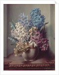 AB/313 Hyacinths in a Pottery Vase by Albert Williams