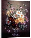 AB/314 Primulas in a Glass Vase by Albert Williams