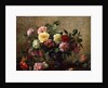 AB/110/2 All Beauty in a Summer Rose by Albert Williams
