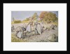 Digging Potatoes, 1905 by Carl Larsson