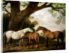 Two Shafto Mares and a Foal, 1774 by George Stubbs