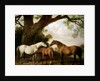 Two Shafto Mares and a Foal, 1774 by George Stubbs