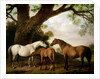 Two Shafto Mares and a Foal, 1774 by George Stubbs
