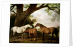 Two Shafto Mares and a Foal, 1774 by George Stubbs