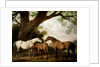 Two Shafto Mares and a Foal, 1774 by George Stubbs