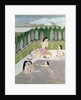 Girls Bathing, Pahari Style, Kangra School, Himachel Pradesh, 18th century by Indian School