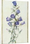 Campanula: Medium 1787 by Pierre Joseph Redouté