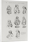 Caricatures from 'The Narrative and Critical History of America', edited by Justin Winsor, London, 1886 by English School