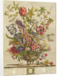 February, from `Twelve Months of Flowers' by Robert Furber by Pieter (after) Casteels